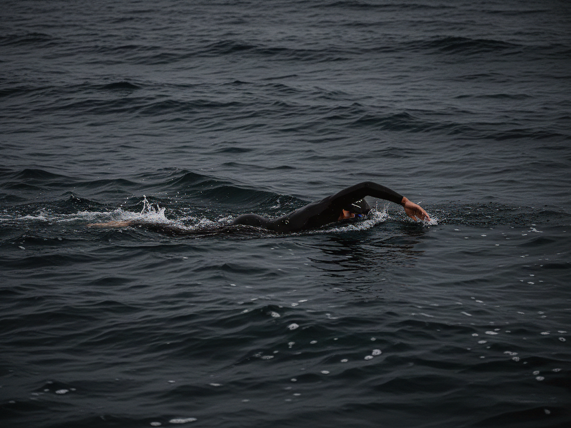 Sailfish 2